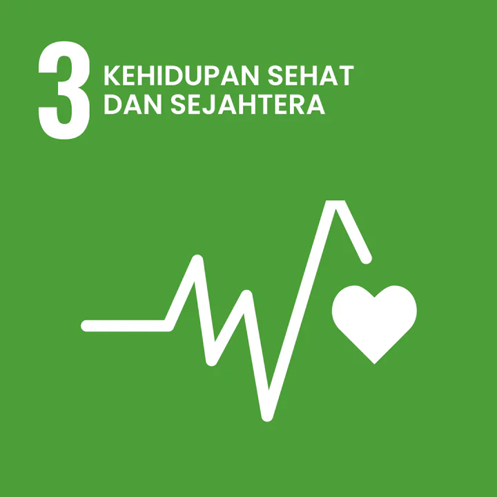 SDG 3
