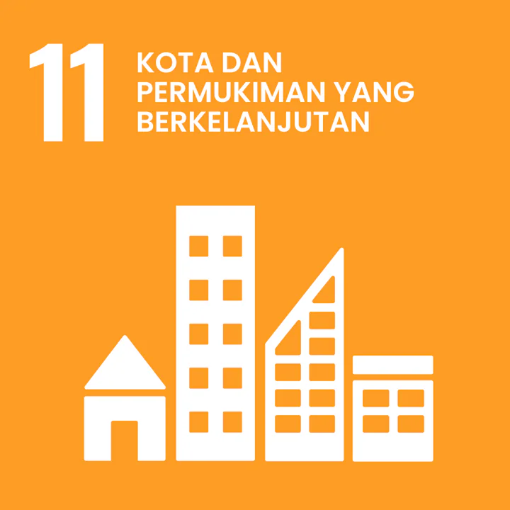 SDG 11